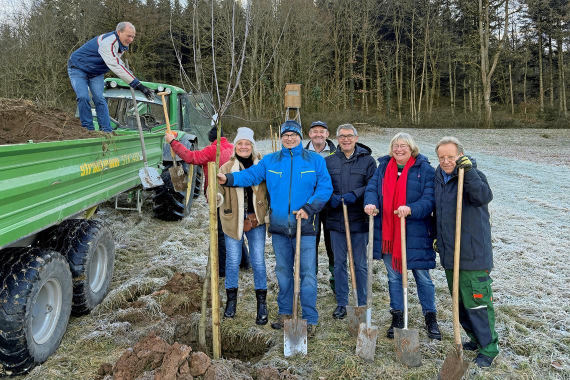 Die Löcher hatte der Bauhof im Vorfeld ausgehoben, die Freiwilligen aus Verein, Gemeinderat und Verwaltung setzten darin neue Bäume. Foto: Stadt Murrhardt