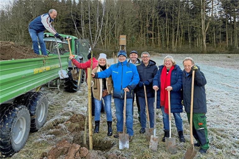 Die Löcher hatte der Bauhof im Vorfeld ausgehoben, die Freiwilligen aus Verein, Gemeinderat und Verwaltung setzten darin neue Bäume. Foto: Stadt Murrhardt