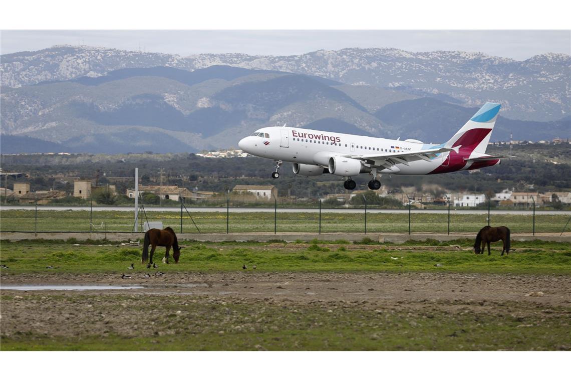 Lufthansa-Konzern gründet eigenen Reiseveranstalter Die Lufthansa-Tochter Eurowings stellt bald für ihre Kunden individuelle Reiseangebote zusammen (Archivbild).