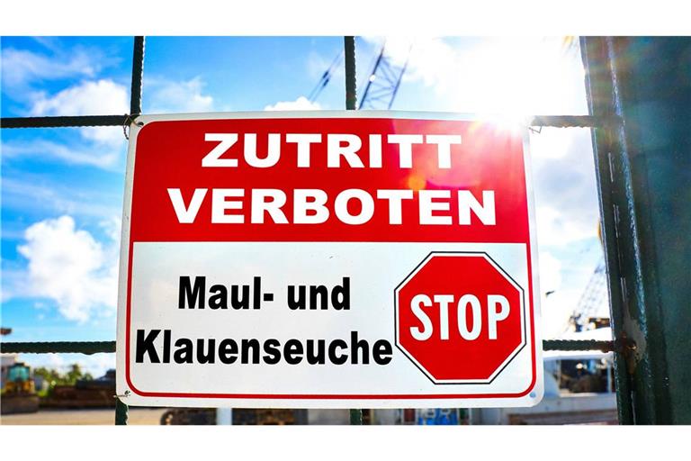 Die Maul- und Klauenseuche wird durch ein hochansteckendes Virus ausgelöst. Dieses Aphtovirus kommt nicht nur in den infizierten Tieren vor, sondern hält sich auch lange in der Umwelt. Ei