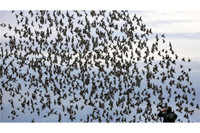 Die meisten Menschen halten sich an die Regeln in Naturschutzgebieten und fotografieren Tiere nur von Wegen und Aussichtspunkten aus.