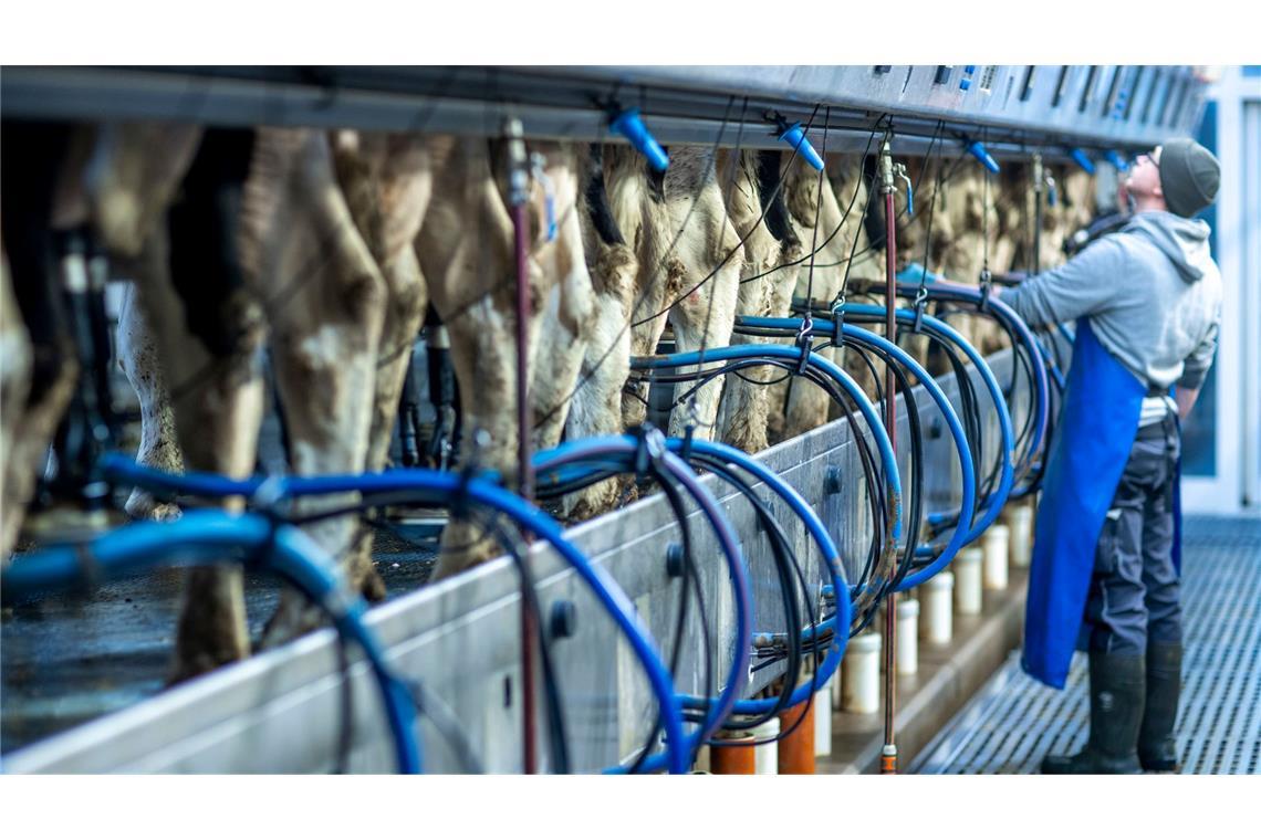 Weiter hohe Milch- und Butterpreise für 2025 erwartet Die Milchpreise stiegen im Jahresverlauf 2024 auf den zweithöchsten Stand jemals. (Archivbild)
