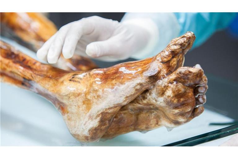 Die Mumie des Ötzi wird in einer speziell entwickelten Kühlzelle bei minus 6 Grad und 99 Prozent Luftfeuchtigkeit gelagert und regelmäßig mit Wasser besprüht, um einem möglichen Feuchtigkeitsverlust entgegenzuwirken.