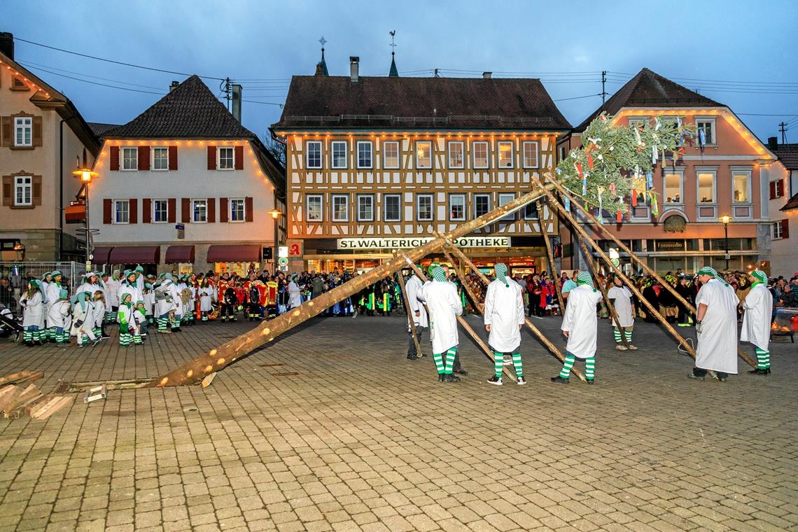 Die Murreder Hendlerwäldler, noch im Hemdglonkergewand, stellen als Zeichen dafür, dass sie nun das Sagen haben, einen Narrenbaum vor dem Rathaus auf. Fotos: Stefan Bossow