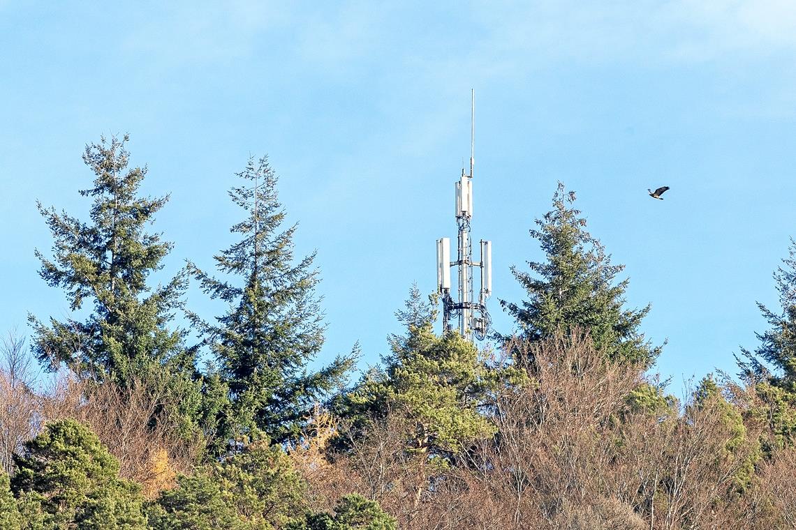 Der alte Funkmast hat bald ausgedient Die Murrhardter Feuerwehr ist von den Funkgeräten her bereits ausgerüstet. Nun muss aber noch bei der Infrastruktur – ein Funkmast, der aufgrund statischer Voraussetzungen neu gebaut werden muss – nachgezogen werden. Der Standort befindet sich im Wald. Foto: J. Fiedler