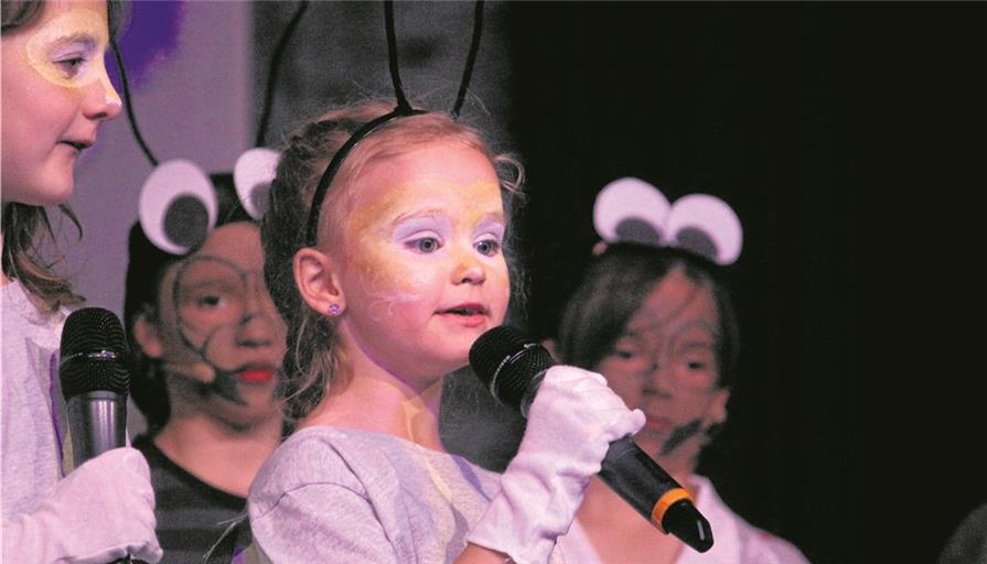 Die Musikschule Schwäbischer Wald/Limpurger Land stellt für ihre Schüler alle zwei Jahre ein großes Kindermusical auf die Beine – im Frühjahr führte sie das „Geschöpf der Nacht“ mit knapp 70 jungen Darstellern aus dem gesamten Musikschulgebiet auf. Das gemeinsame Musikzieren ist ein wichtiger Baustein der Arbeit, wie Musikschulleiterin Judith-Maria Matti betont. Foto: privat