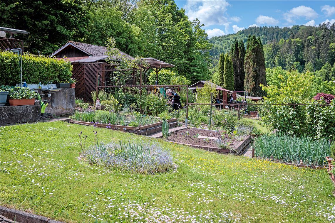 Gartenstücke sind weiter gefragt Die Nachfrage nach Grundstücken – etwa in der Gartenanlage Murrhardt – ist generell da, auch nach der Pandemie. Foto: Stefan Bossow