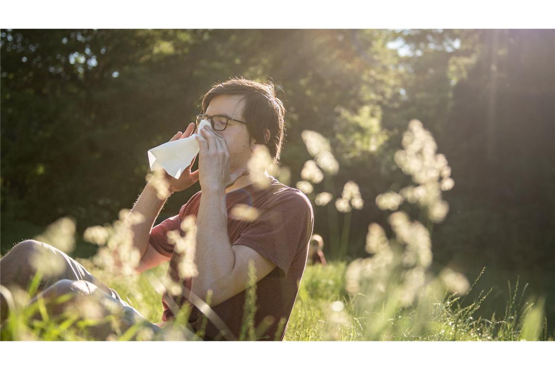 Hier fliegen die Pollen aktuell besonders stark Die Nase juckt, die Augen tränen: Allergiker spüren die Belasstung durch Pollen derzeit besonders.