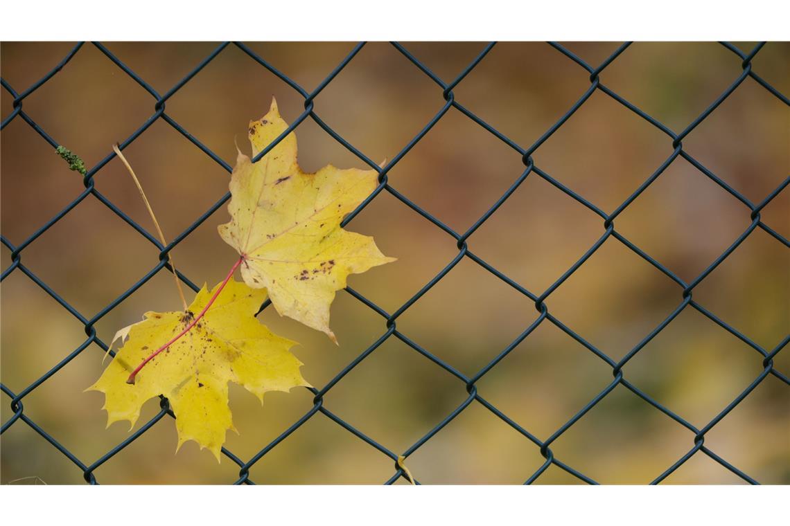 Die neue Woche startet mit ruhigem und trockenem Herbstwetter. (Symbolbild)