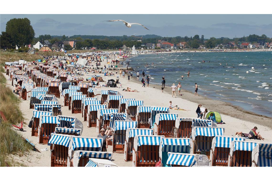 Hochsommerliche Temperaturen im ganzen Land erwartet Die neue Woche verspricht Badewetter in Deutschland.