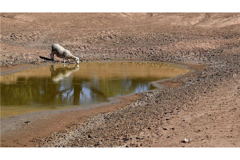 Die NOAA hat den Beginn von El Niño verkündet. (Symbolbild)