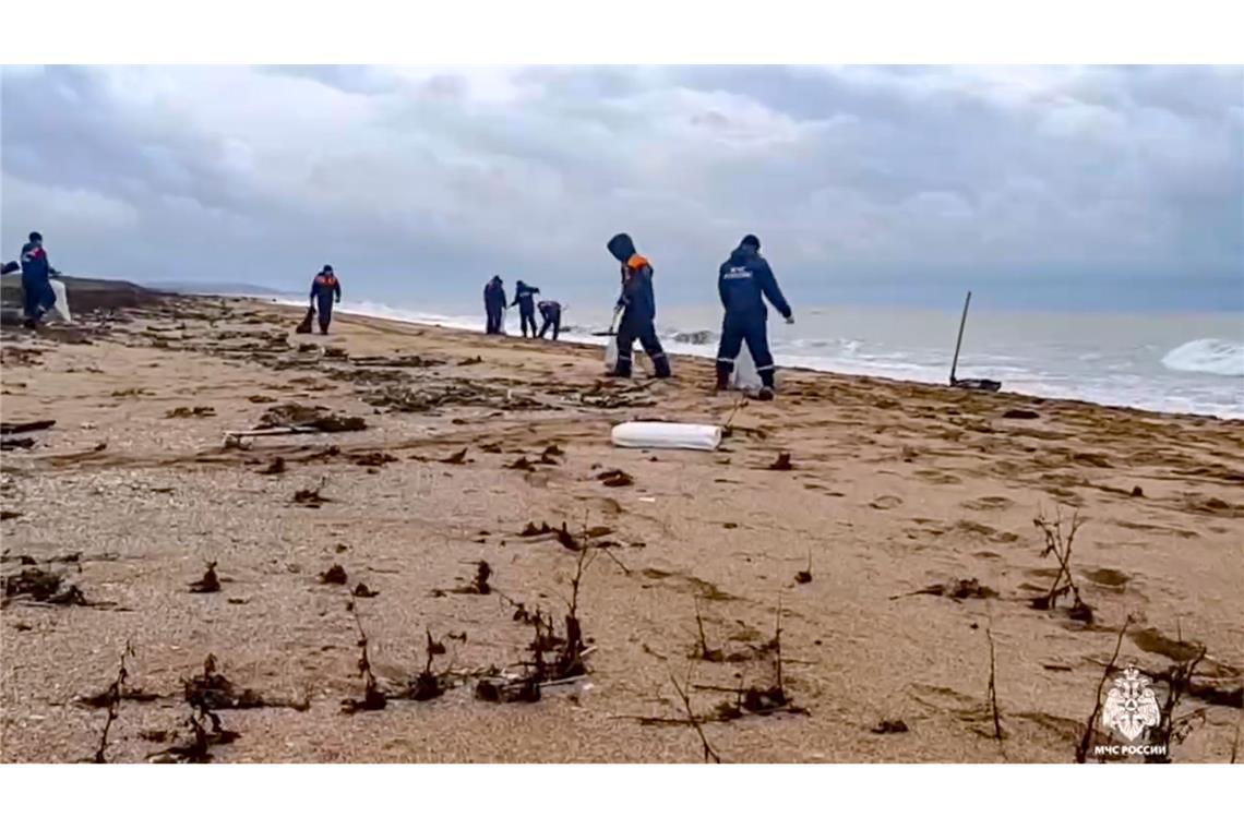 Immer mehr Delfine verenden wegen Ölpest im Schwarzen Meer Die Ölpest führt dazu, dass auch immer mehr Delfine verenden. (Archivfoto)