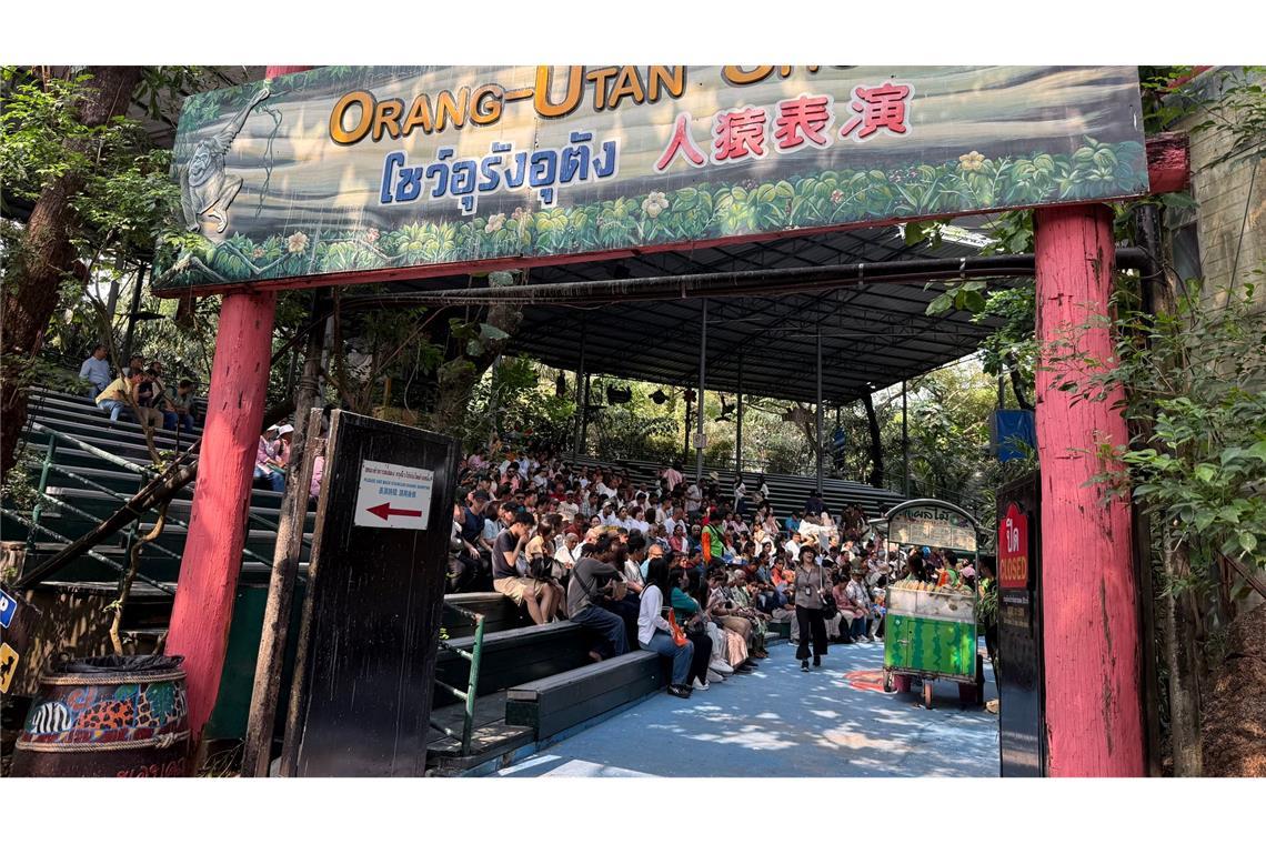 Die Orang-Utan-Shows sind weiter beliebt.
