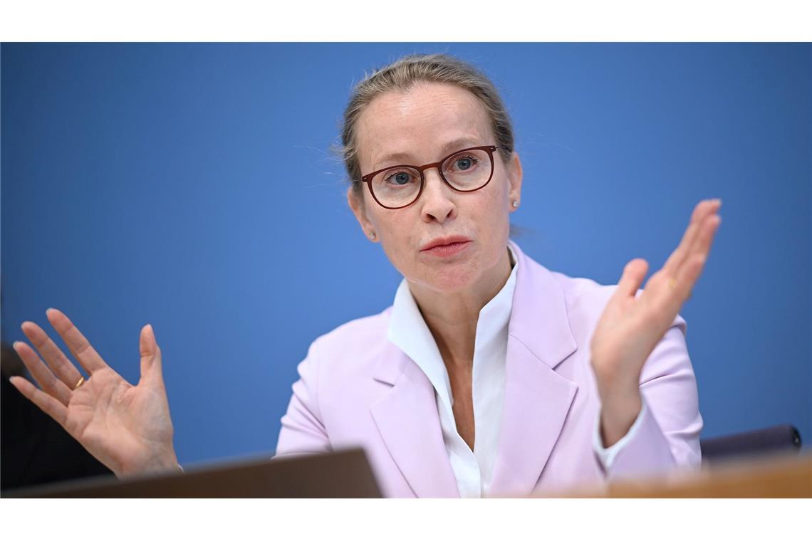 Brosius-Gersdorf hadert noch mit Rückzug Die Politisierung der Richterwahl bleibe hoffentlich ein Einzelfall, sagte die Juristin Brosius-Gersdorf, die ursprünglich als Richterin für das Bundesverfassungsgericht vorgesehen war. (Archivbild)