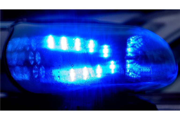 Die Polizei fand auf dem Grundstück diverse Waffen und gefährliche Gegenstände. (Symbolbild)