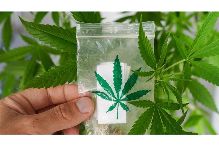 Die Polizei fand tausende Marihuana-Pflanzen und mehrere Kilogramm abgepacktes Marihuana (Symbolbild).
