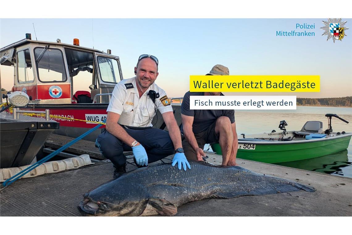 Fünf Badegäste gebissen: Polizist erschießt Zwei-Meter-Fisch Die Polizei hat ein Foto des erlegten Riesenwels veröffentlicht.