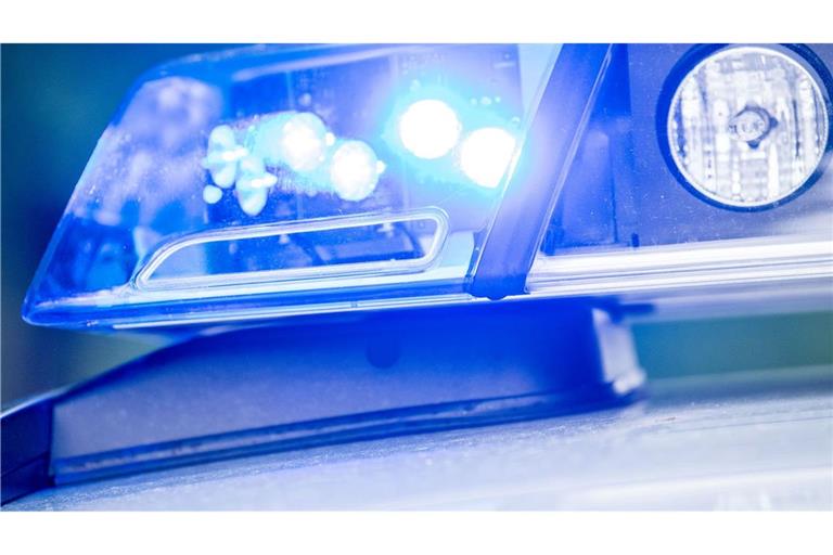 Die Polizei hat zwei spielende Kinder aus unmittelbarer Nähe der Gleise der Bahnstrecke Hamburg - Berlin geholt. Die Strecke wurde zeitweise gesperrt. (Symbolbild)
