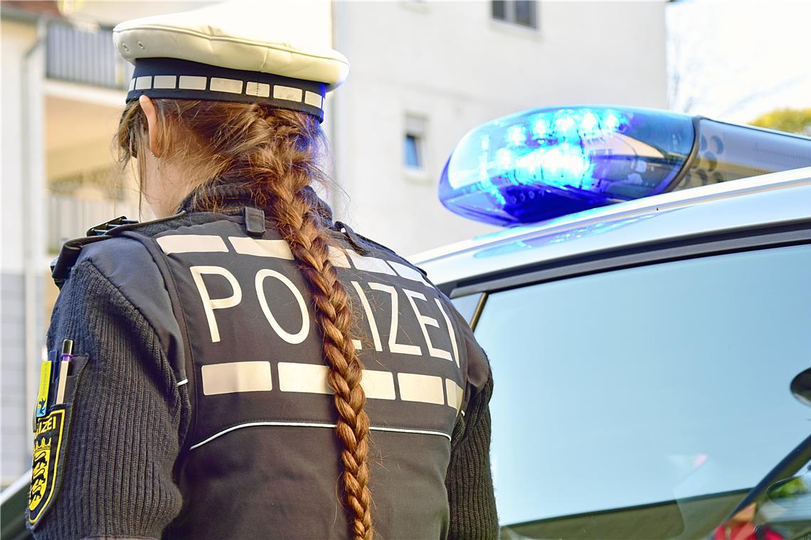 Polizeireiter suchen nach Beate Z. Die Polizei nimmt weiterhin Hinweise entgegen. Symbolfoto: Tobias Sellmaier