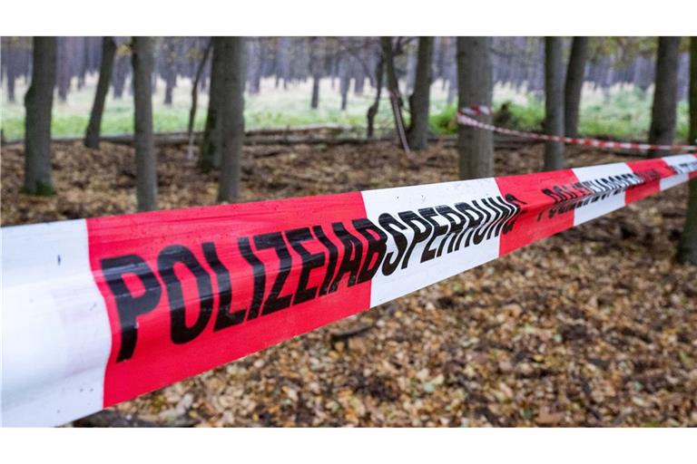 Die Polizei setzt die Ermittlungen im Fall Rebecca fort. (Archivbild)