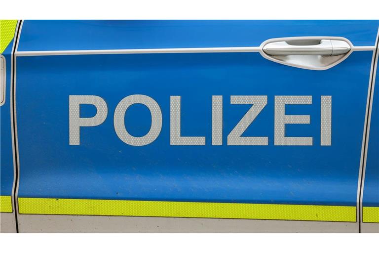Die Polizei sucht am Geiseltalsee in Sachsen-Anhalt nach einer Großkatze. (Symbolbild)