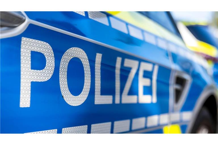 Die Polizei war wegen eines verdächtigen Schildes im Mainzer Hauptbahnhof gefordert. (Archivbild)