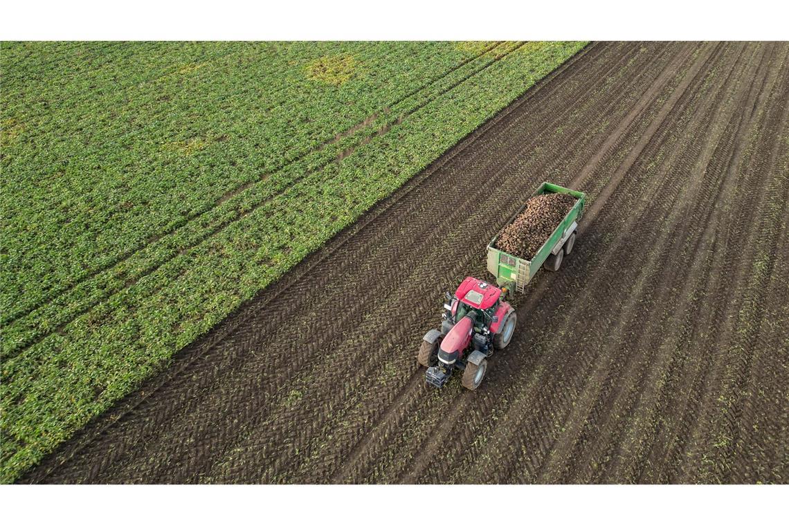 Die Preise für viele Agrarprodukte sind derzeit unter Druck. (Archivbild)