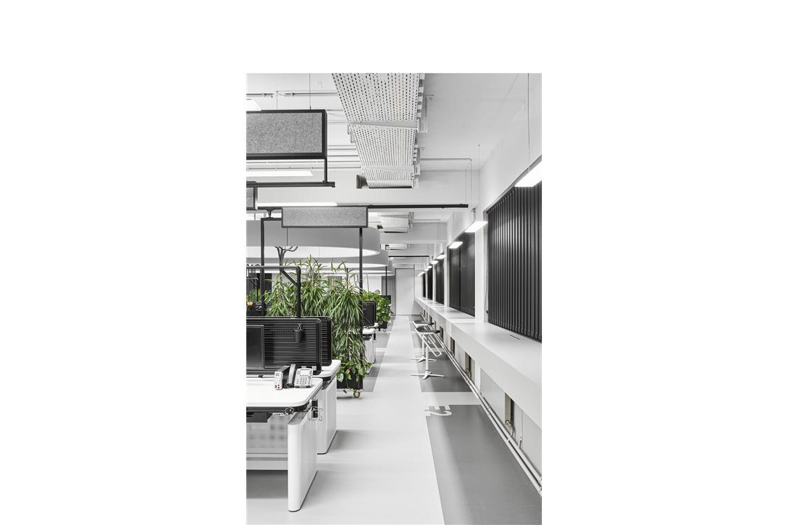 Stuttgarter Architekten räumen beim Preis für die besten Bürobauten ab Die Produktionsplätze befinden sich entlang einer Fensterflucht. Eingestellte Pflanzenparavents gliedern die Ordnung und verbessern das Raumklima.