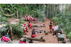 Die Promis kämpfen im „Dschungelcamp“ von RTL um 100.000 Euro. Doch nach und nach scheiden sie aus.