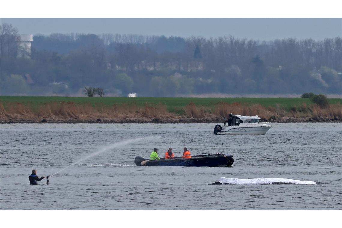Die Rettungsaktion läuft, aber der Wal sollte am Samstag nicht mehr transportiert werden.