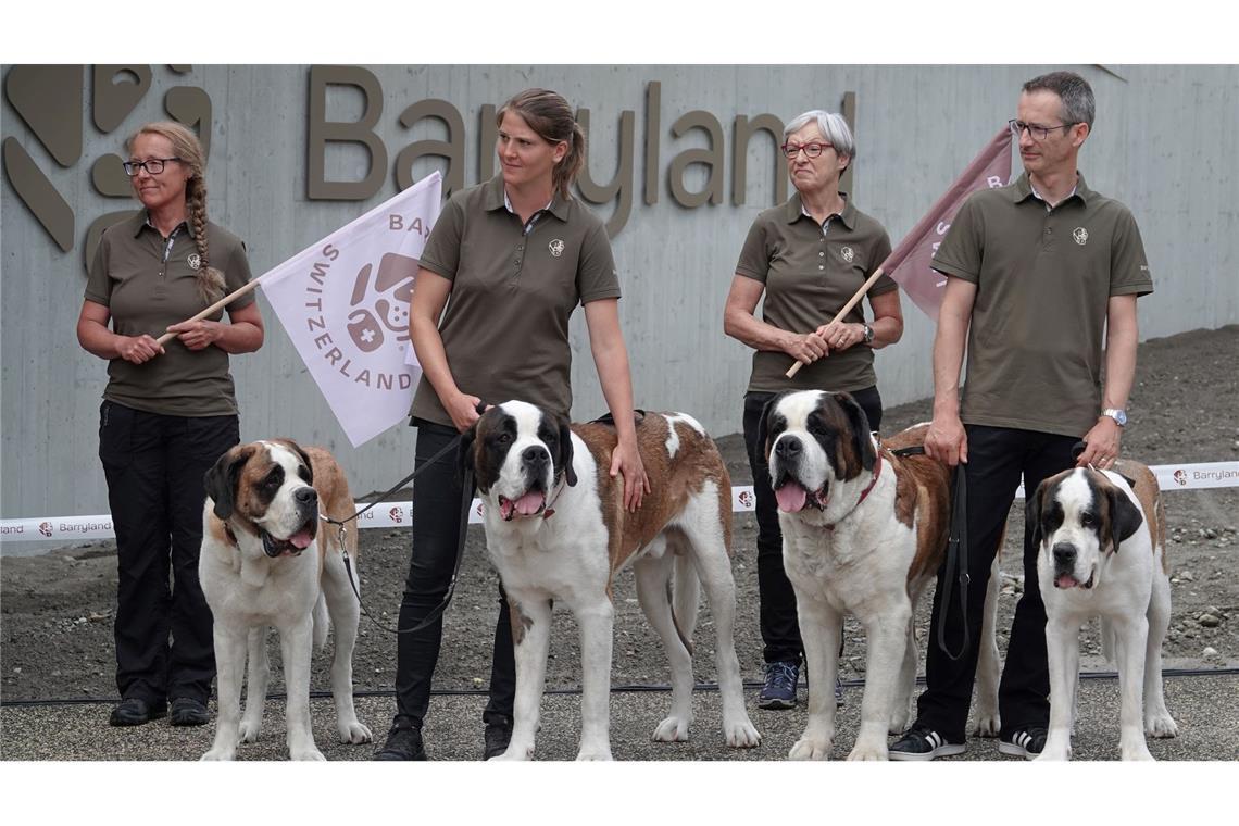 Bernhardiner und Schnapsfass: Stiftung "Barryland" klärt auf Die Sache mit den Fässchen am Hals der Bernhardiner - erfunden.