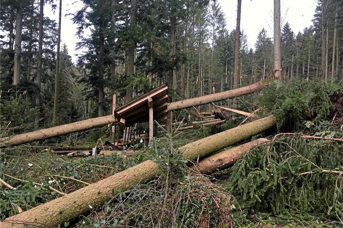 Die Schäden durch Sturmtief Sabine im Februar haben gezeigt, wie verwundbar und angeschlagen der Stadtwald mittlerweile ist. Archivfoto: D. Seitz