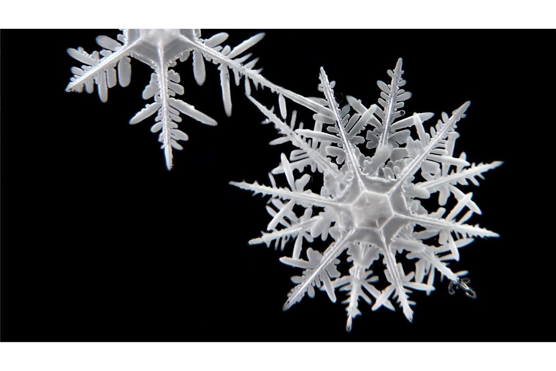 Paar verewigt Schneeflocken aus Antarktis und Arktis Die Schneeflocken haben sehr unterschiedliche Strukturen.