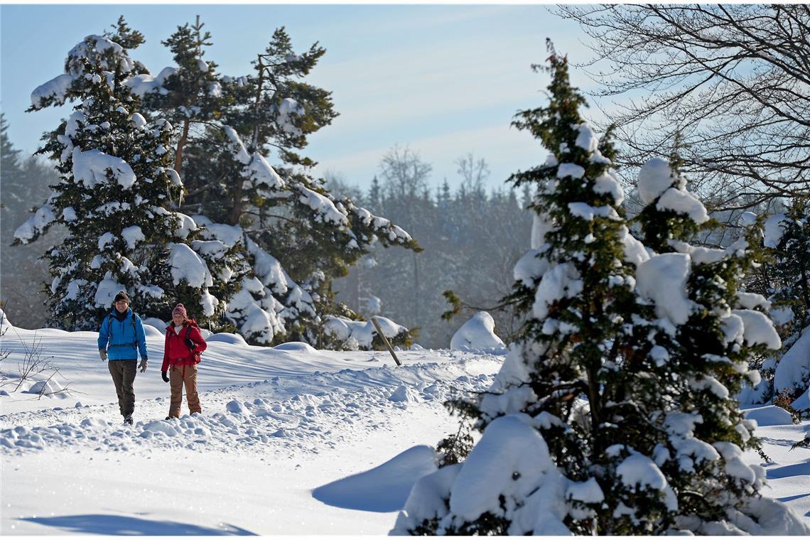 Winterspaß auf der Schwäbischen Alb Die Schwäbische Alb hat in den letzten Tagen viel Schnee abbekommen und lädt zum Wandern oder Schlittenfahren ein. (Archivbild)