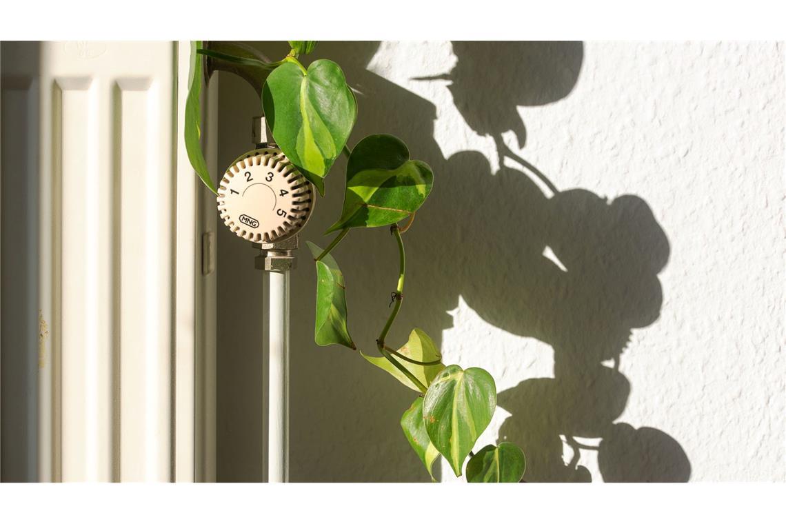 Heizungsgesetz: Schutz vor steigenden Mietnebenkosten unklar