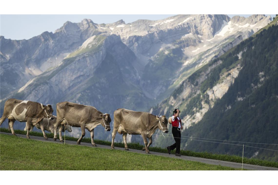 Die Schweiz pflegt ihr Heidiland-Image. (Archivbild)