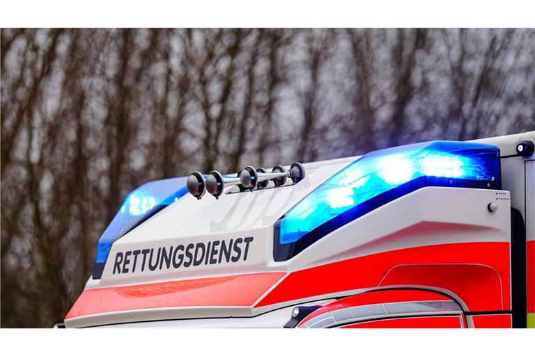 Die Seniorin wurde schwer verletzt und musste vom Rettungsdienst versorgt werden. (Symbolfoto)
