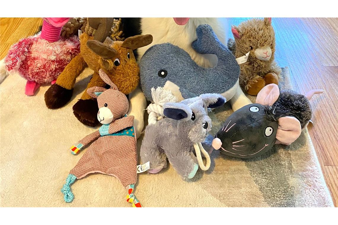 Die sieben Jahre alte American Shepherd-Hündin kannte bereits vor dem Versuch viele Spielzeuge.