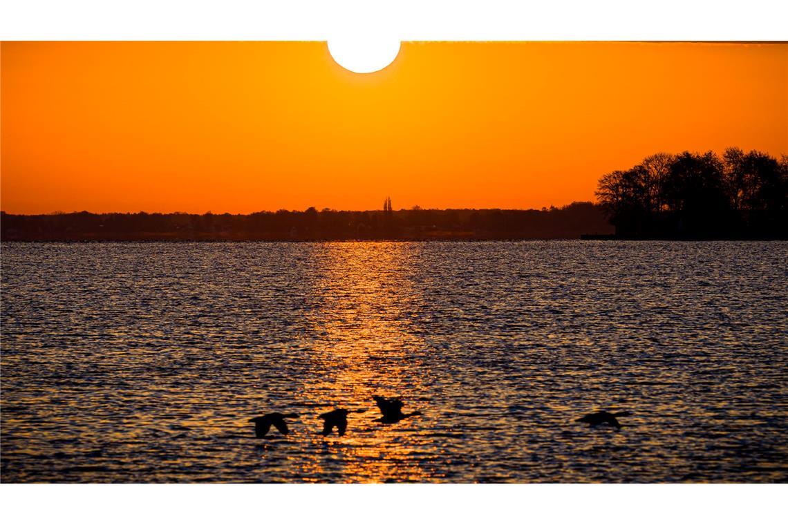 Die Sonne geht am Steinhuder Meer in der Region Hannover auf.