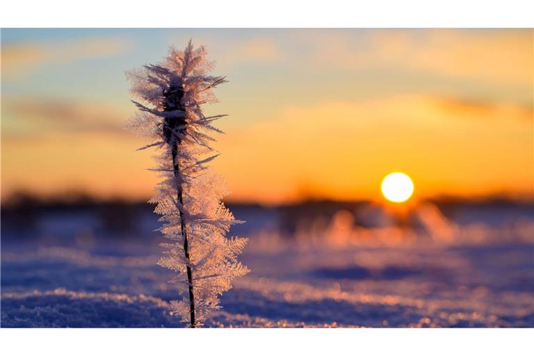 Die Sonne hat deutlich mehr Stunden eingesammelt als im Vergleichszeitraum. (Archivbild)