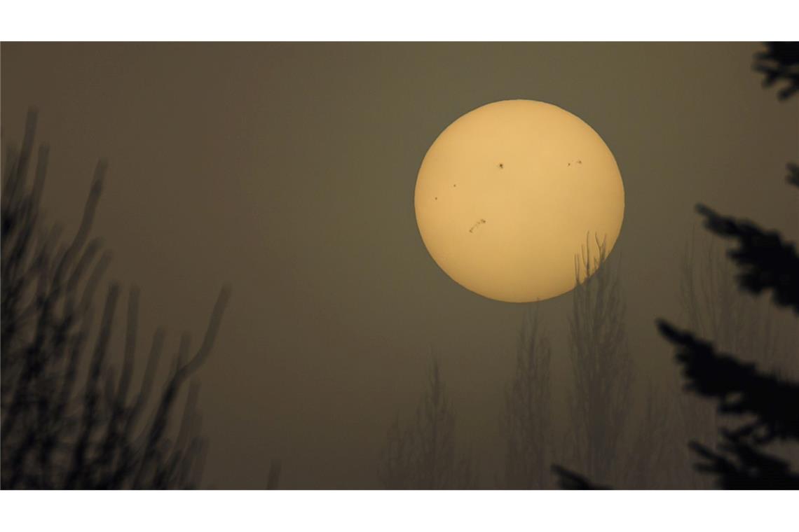 Bilder des Tages Die Sonne kämpft sich durch den dichten Nebel im Spreewald. Gut zu sehen: Die Sonnenflecken