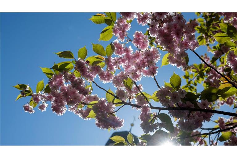 Die Sonne scheint fast überall den ganzen Tag. (Archivbild)