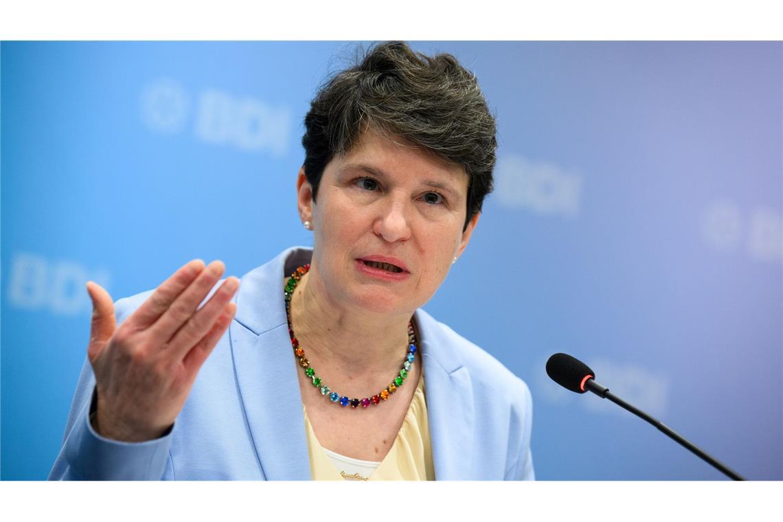 "Die Staats- und Regierungschefs müssen alles dafür tun, damit Mercosur im Januar abgeschlossen wird", so Gönner. (Archivbild)