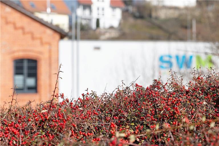 Die Stadtwerke Murrhardt werden ihre Heizwerke umrüsten, um auf Ausfallszenarien vorbereitet zu sein. Foto: Jörg Fiedler