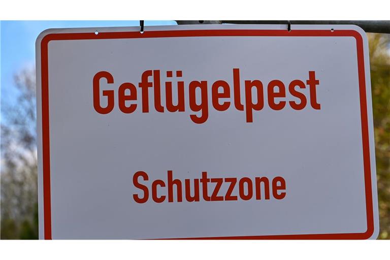 Die Stallpflicht wurde in Baden-Württemberg wieder aufgehoben. (Symbolbild)