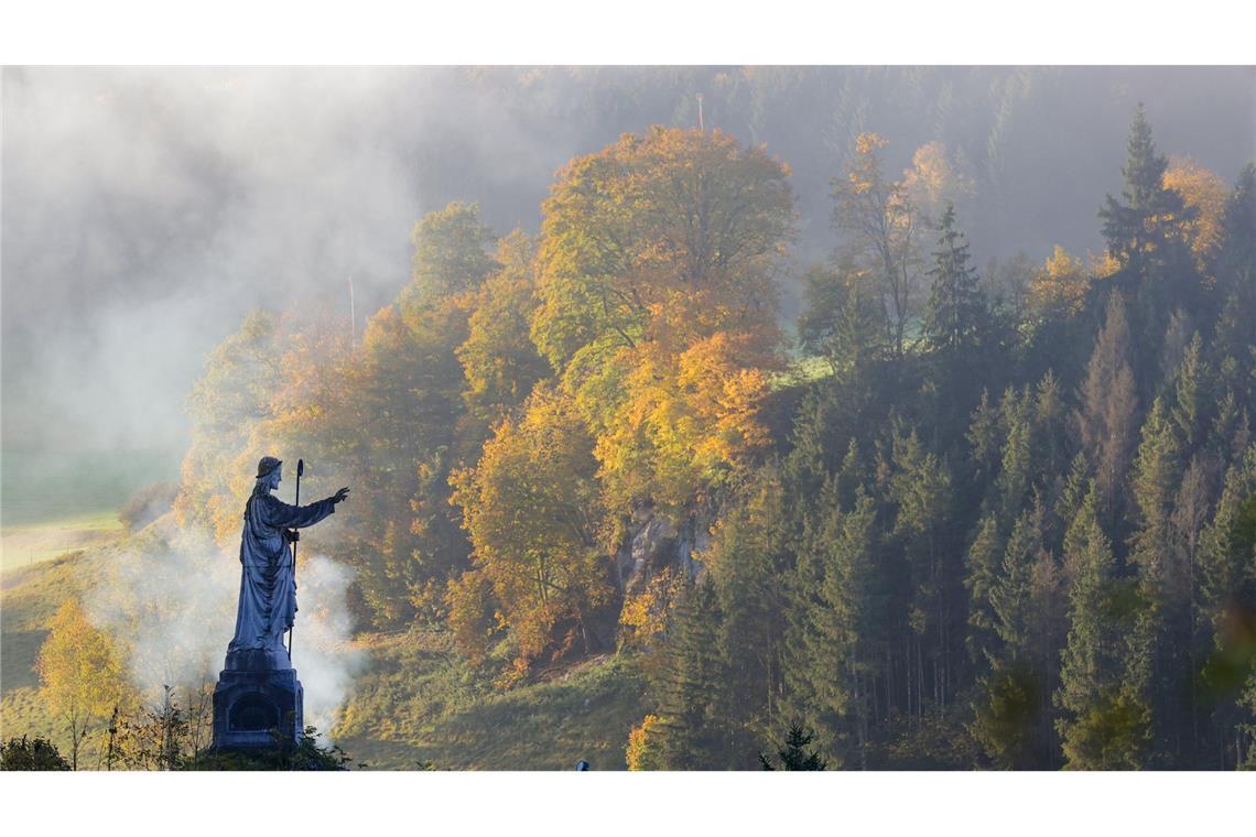 Bilder des Tages