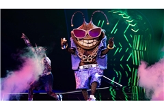 Die Stinkwanze "Dude" ist bei der ProSieben-Show "The Masked Singer" raus. (Archivbild)