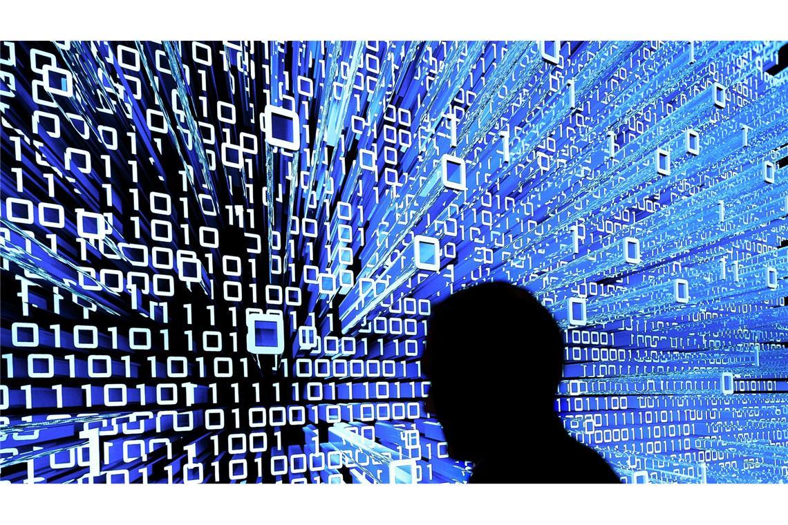 Die Störung machte zahlreiche Websites mit ".de"-Adressendung zeitweise unerreichbar. (Symbolbild)