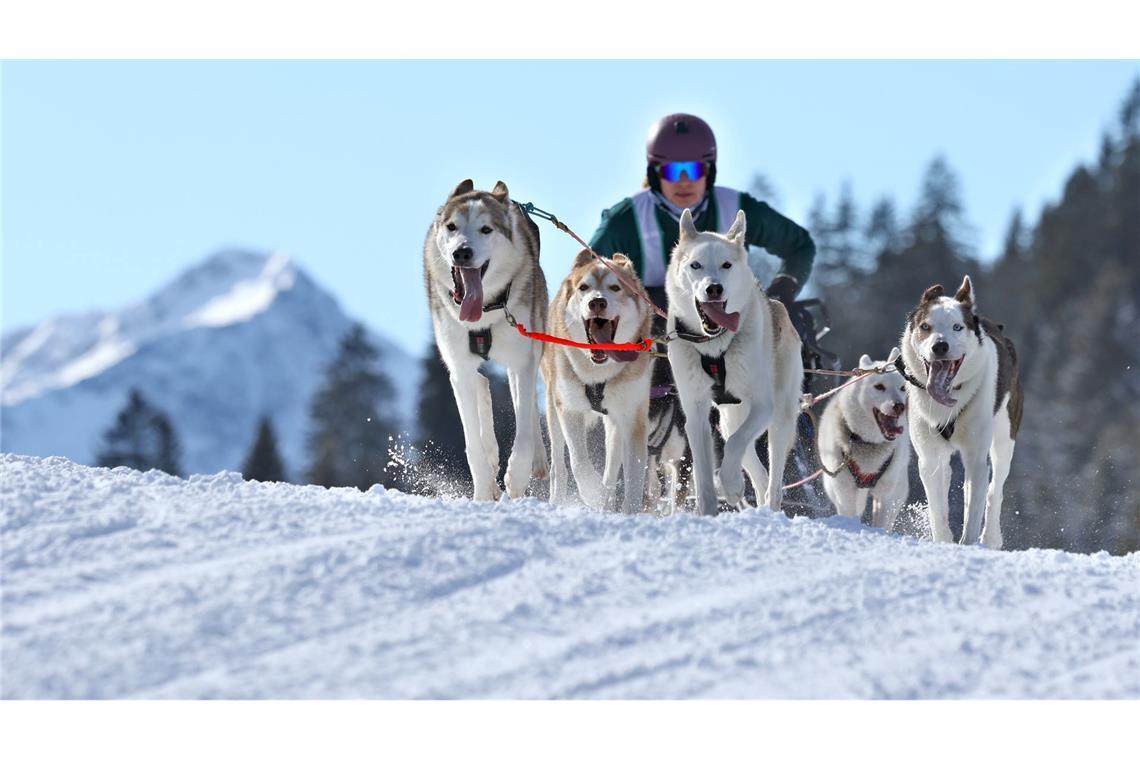 Die Strecke gilt als technisch anspruchsvoll.