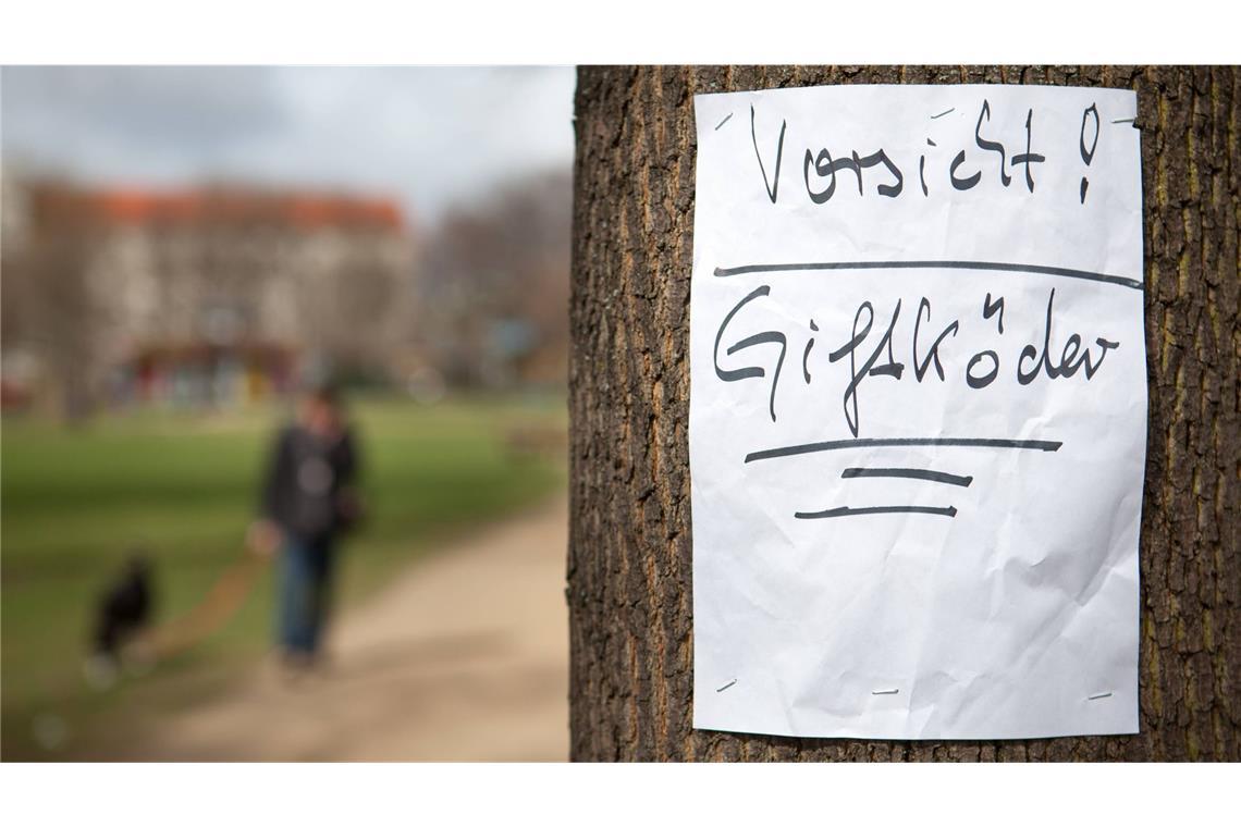 Die Symptome weisen auf eine Vergiftung hin. (Symbolbild)